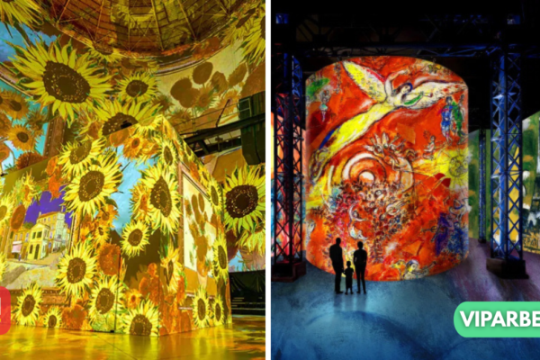 immersive ausstellung