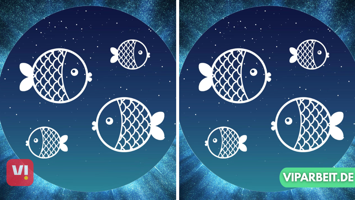 fisch sternzeichen