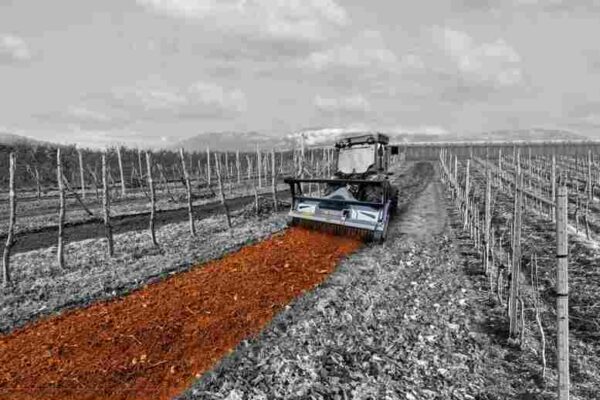 die Rolle eines fortschrittlichen Forstmulcher-Designs